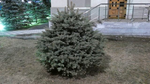 6 января-ДЕНЬ СВЯТЫХ КЛАВДИИ и ЕВГЕНИИ.Народные приметы смотреть онлайн