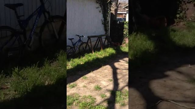 Gibo Walkthrough Backyard смотреть онлайн