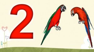 Sanoq sonlar.  Bolalar uchun darsliklar. Ziyrakbola