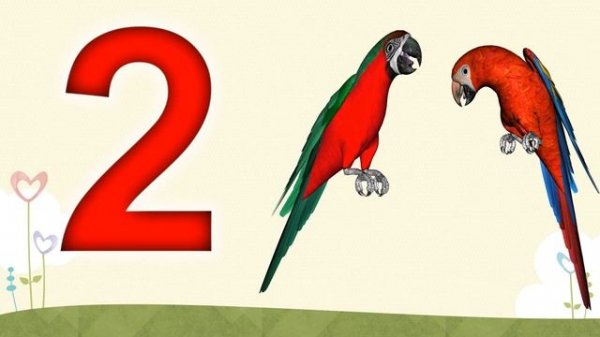 Sanoq sonlar. Bolalar uchun darsliklar. Ziyrakbola