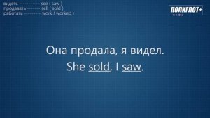 Полиглот+ Практика английского языка. Занятие 1 [Level 1]
