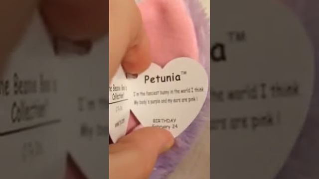 New beanie boos (Paddles Petunia and Thankful) смотреть онлайн