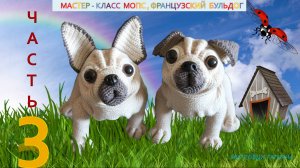Мопс,Французский бульдог крючком (3часть) Мастер-класс