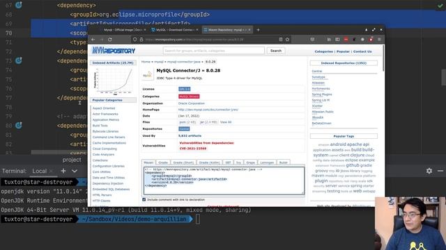 Creando una API Rest con Jakarta EE 9 (Payara), Java 11 y MySQL 8 (Docker) смотреть онлайн