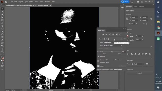 Make Photolab Like Cartoon Images In Illustrator