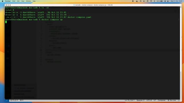 How to Create a MySQL [MariaDB] Server using Docker Compose смотреть онлайн