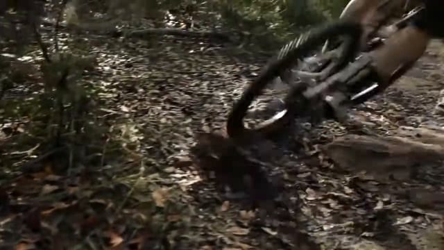 Welcome to Flow Mountain Bike смотреть онлайн
