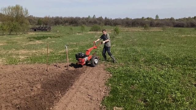 Мотоблок МТЗ Беларус-пашет сам! Вспашка земли, работа с плугом! 30.04.2023 смотреть онлайн