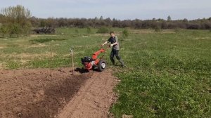 Мотоблок МТЗ Беларус-пашет сам! Вспашка земли, работа с плугом! 30.04.2023
