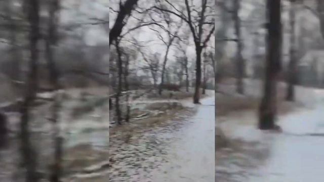 Распаковка с Вайлдберриз. Семейные будни. Кислородный очиститель. смотреть онлайн