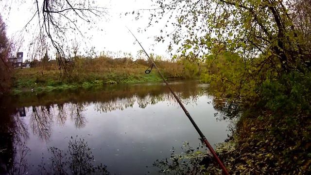 (143) Осенний мормышинг, когда не клюет щука🎣👣🤗. #осень#мормышинг#окунь смотреть онлайн