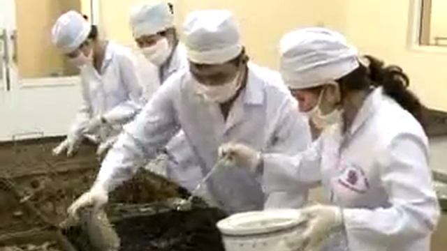 Viên Gout Tâm Bình - Cây Thuốc Việt số 28 смотреть онлайн