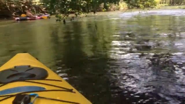 Kayak Big Walnut Creek Westerville to Gahanna Ohio смотреть онлайн