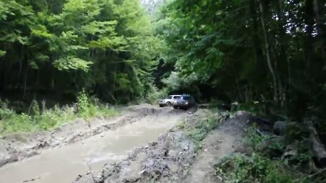 Убинка - Новосадовый