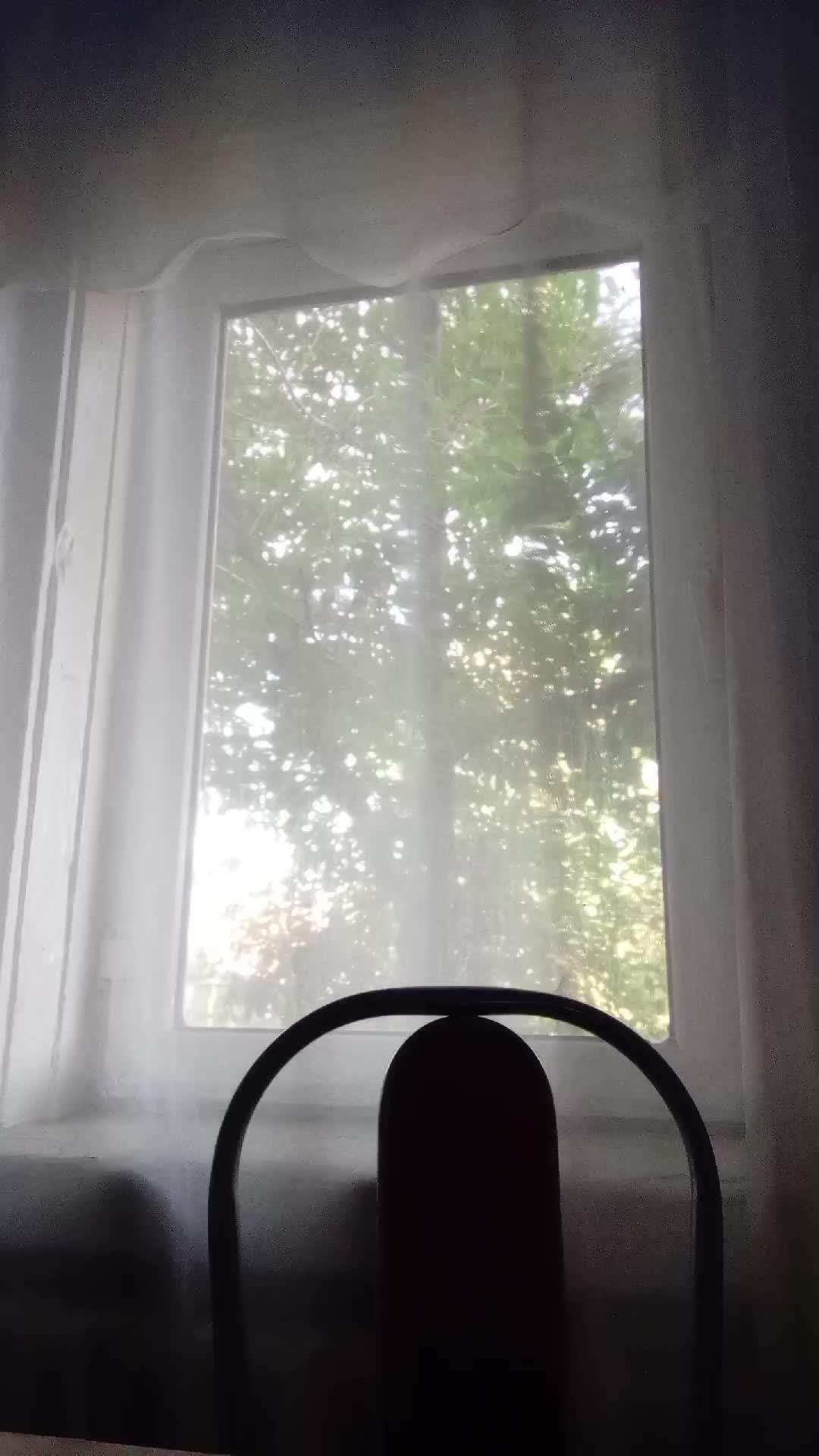 what смотреть онлайн