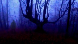 КРЫМ мне НЕСПОКОЙНО. Остался ОДИН в СТРАШНОМ ЛЕСУ. Путешествие пошло НЕ по ПЛАНУ.