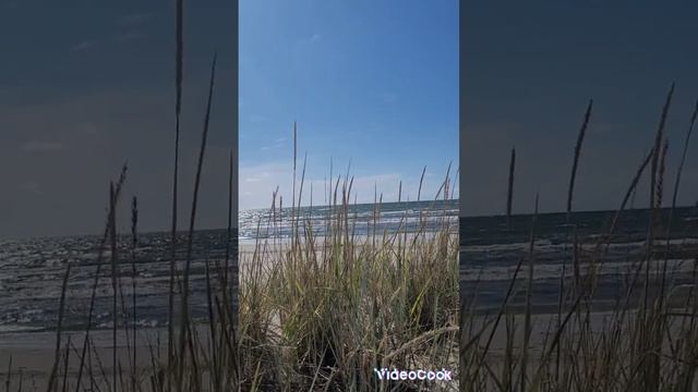 Беседы с Богом .Н.Д.Уолш.Часть 8. смотреть онлайн