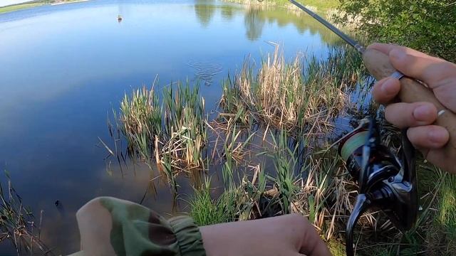 Ловля окуня на спиннинг с берега. Микроджиг. Подмосковье смотреть онлайн