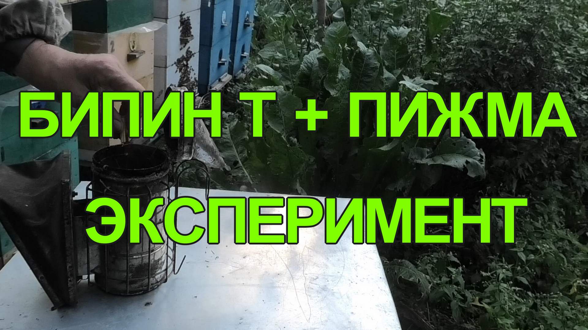 ОБРАБОТКА ПИЖМОЙ +БИПИН Т смотреть онлайн
