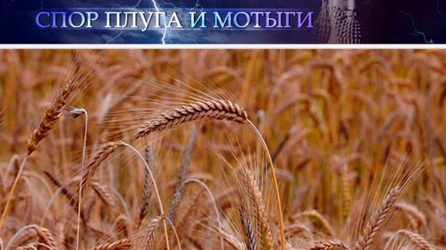Месопотамская мифология: СПОР ПЛУГА И МОТЫГИ (Миф шумеров) смотреть онлайн