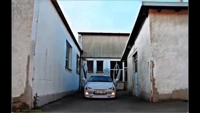 Respect To Lady Tigra