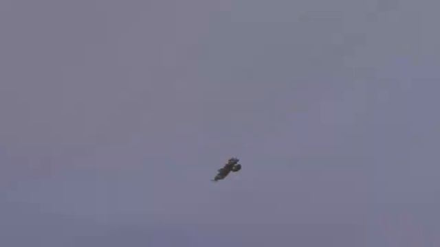 Дикое поле-кубань река смотреть онлайн