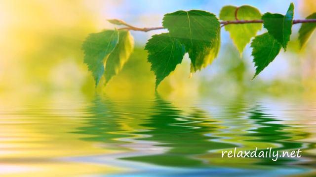 relaxdaily N°042 – Спокойная музыка – медленная, мирная, фоновая смотреть онлайн