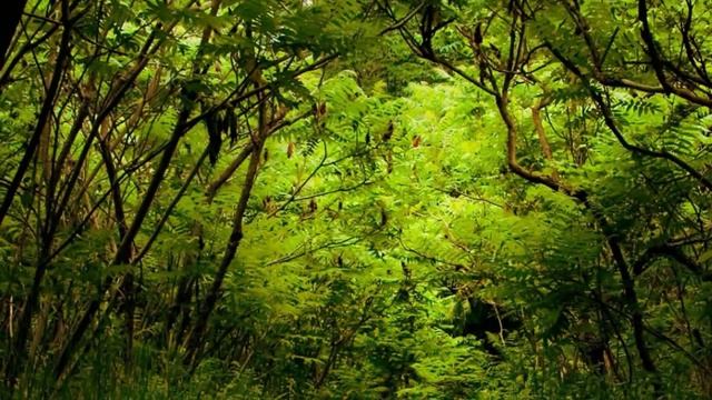 Советы по организации маленькой кухни