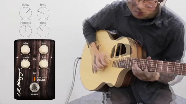 Hotel California by L.R. Baggs align series Demo（Chorus, Delay, Reverb） смотреть онлайн