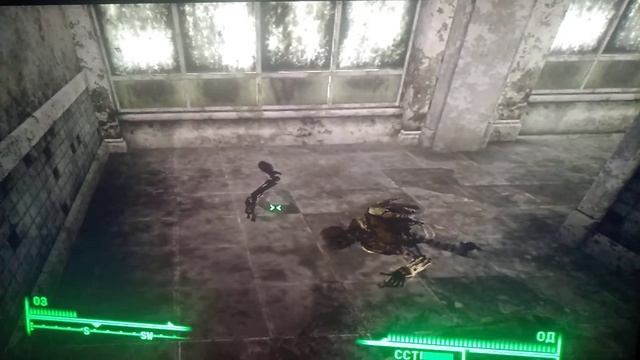 fallout 3 прикольный баг смотреть онлайн