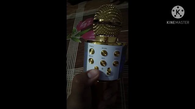 Unboxing WS-858 mic detailed review смотреть онлайн