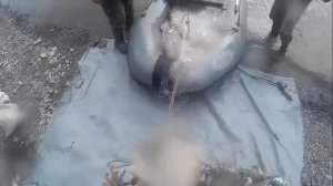 Рыбалка сплавной сетью, с лодки ПВХ, китайской сетью