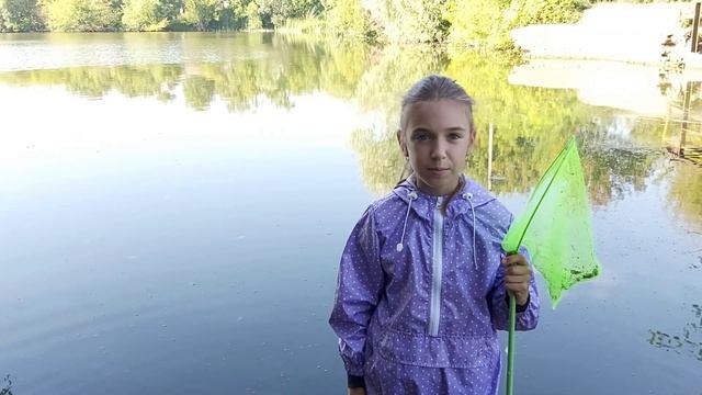 Мастерство и Смысл Жизни