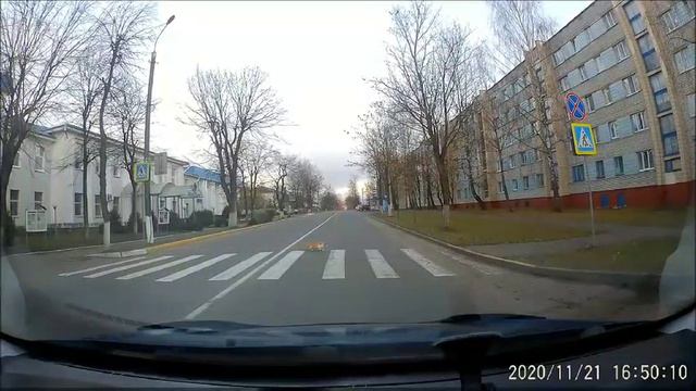 Кот в Вилейке, который соблюдает ПДД смотреть онлайн
