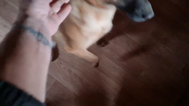 Много тепла в холодный день. смотреть онлайн