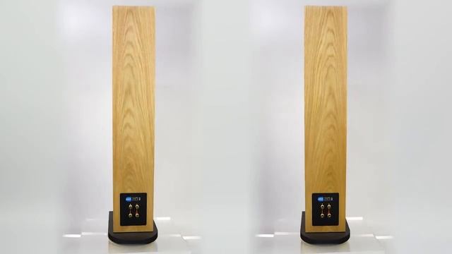 PMC Twenty 24 Oak смотреть онлайн