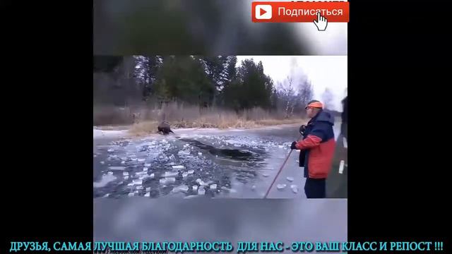 Для тех кто ценит добро смотреть онлайн