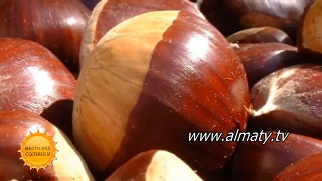 Калорийные продукты смотреть онлайн