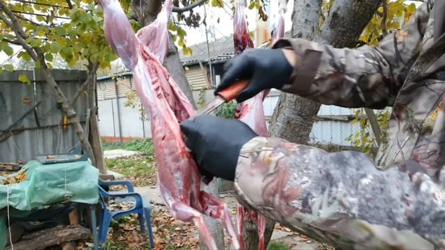 ДЖИЗ БЫЗ ИЗ ЗАЙЦА НА КОСТРЕ. РЕЦЕПТЫ СЮФ. ОХОТА НА КУБАНИ