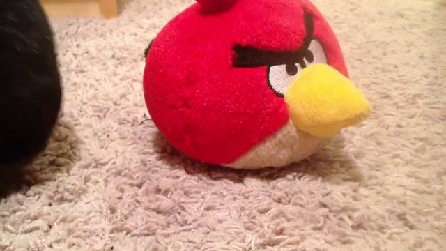 Dinosaurs VS Angry Birds 2