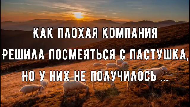 СЛУШАЙТЕ И УЗНАЕТЕ ЧТО ОН ОТВЕТИЛ… ||КАК ПЛОХАЯ КОМПАНИЯ РЕШИЛА ПОСМЕЯТЬСЯ С ПАСТУШКА🐑 смотреть онлайн