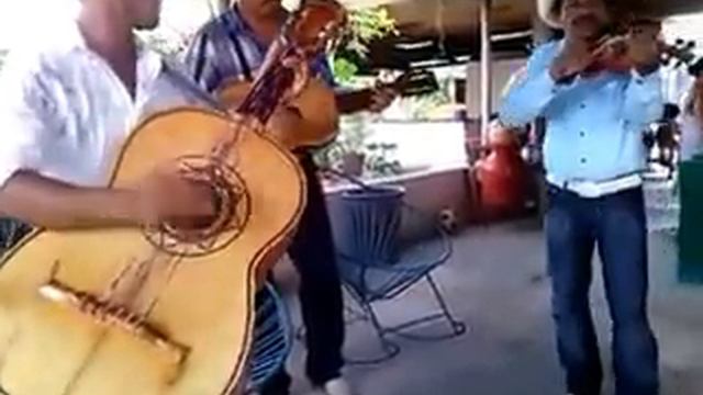 Video Grupo Consentido De La Sierra_Cayetano Quintana 2016 смотреть онлайн