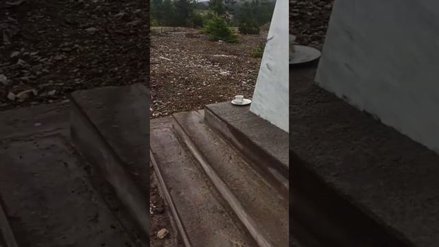 Россия.Сибирь.Байкал.Качуг.Оек.Баяндай.Еланцы.Малое море.Шида.Куяда.Бугульдейка. 03-05.08.23г. (15) смотреть онлайн