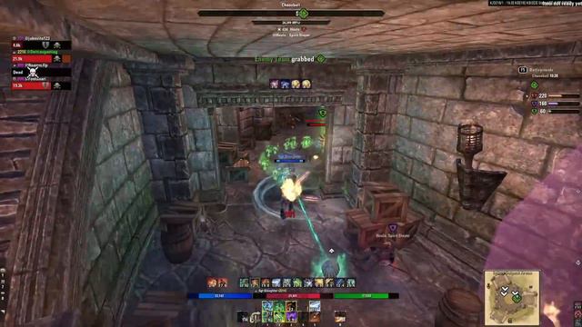 WARDEN IS BACK ⚔️ ESO Stamina Warden PvP Build