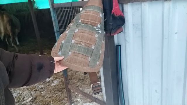 Самостоятельная девчонка💃Камилуша 🐂 КОЗЁЛ Магнус 🐐КОЗЫ 🐐 смотреть онлайн