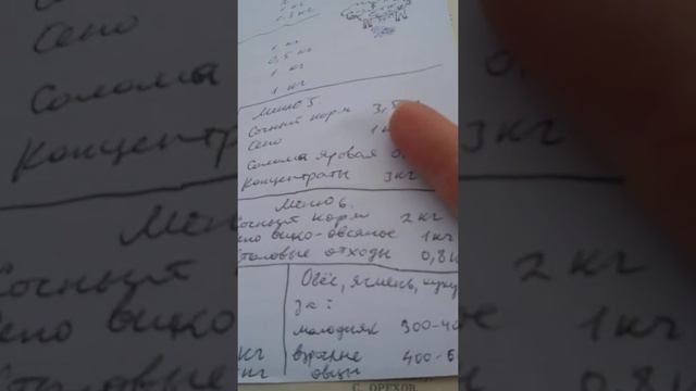 Овечье меню на день по Госту. Заговор для плодовитости овец. смотреть онлайн