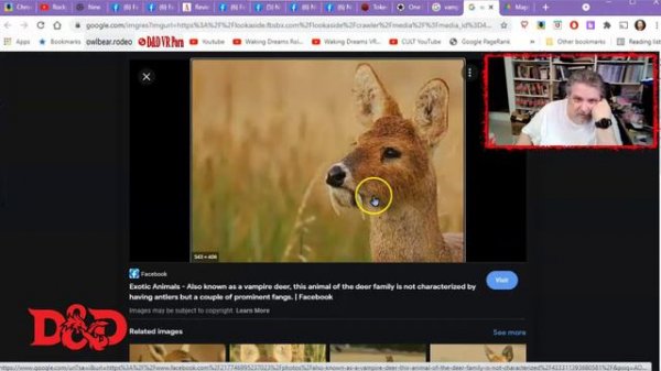 Token Stamp for Online D&D Games!