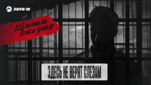 Шамиль Джазаев - Здесь не верят слезам | Премьера трека 2024