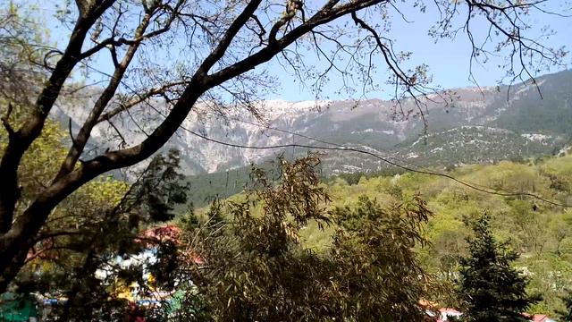 Ялта зоопарк смотреть онлайн