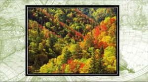 Видеоурок - "Япония. Физико-географическая характеристика страны"